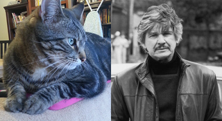 Illustration for article titled Meet Jezebel's Pets and Their Celebrity Lookalikes!